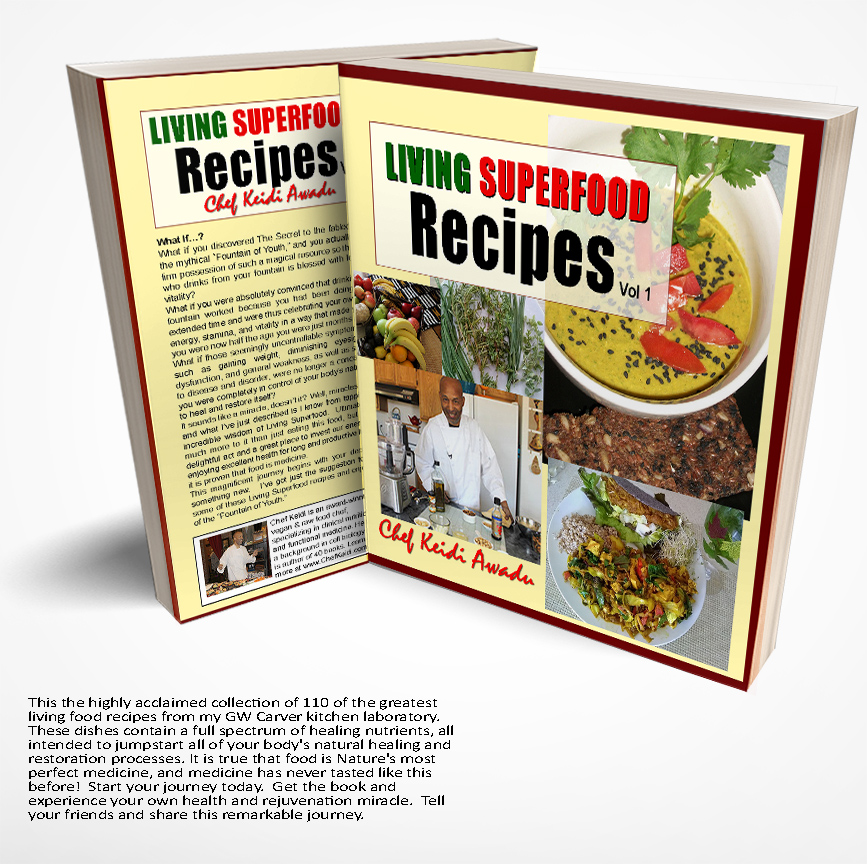 Living Superfood Recipes Vol 1